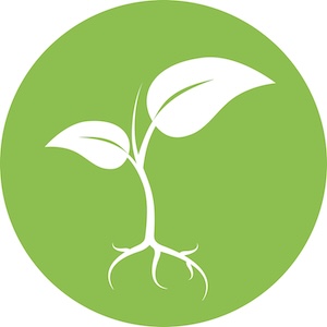 CSMC Root of Hope icon