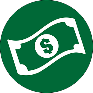 Money icon